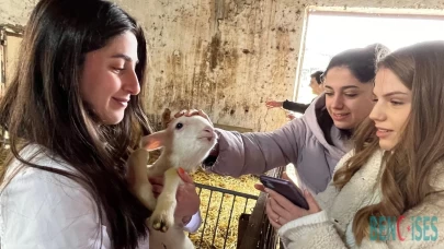 Balıkesir Üniversitesi Öğrencileri Yetiştirme Çiftliğinde Harikalar Yaratıyor