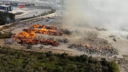 Aydın'da 16 saattir aralıksız yanıyor: Fabrika küle döndü!